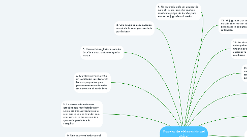 Mind Map: Proceso de elaboración del azúcar