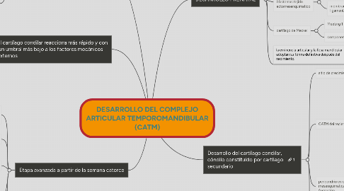 Mind Map: DESARROLLO DEL COMPLEJO ARTICULAR TEMPOROMANDIBULAR (CATM)