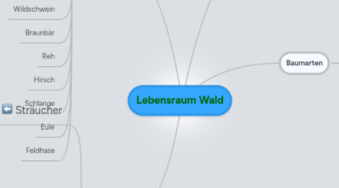 Mind Map: Lebensraum Wald