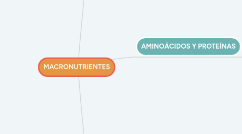 Mind Map: MACRONUTRIENTES