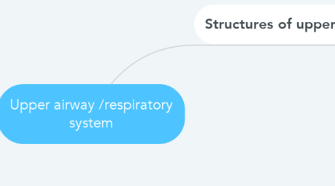 Mind Map: Upper airway /respiratory system
