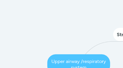 Mind Map: Upper airway /respiratory system