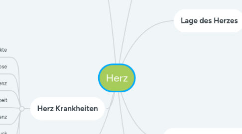 Mind Map: Herz