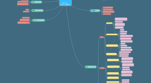 Mind Map: MINH DUC NGUYEN-阮德明