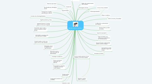 Mind Map: ESCUELA DE LA GESTALT