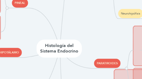 Mind Map: Histología del Sistema Endocrino