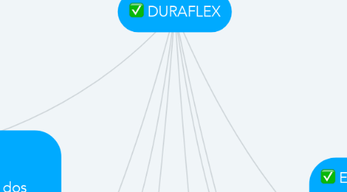 Mind Map: DURAFLEX