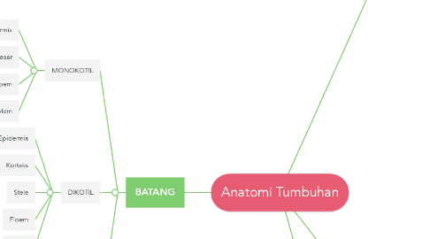 Mind Map: Anatomi Tumbuhan