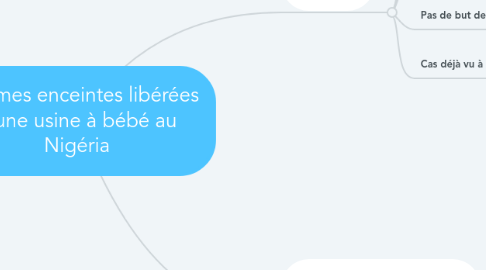 Mind Map: Femmes enceintes libérées d'une usine à bébé au Nigéria