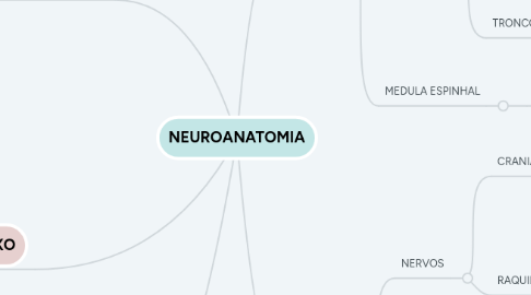 Mind Map: NEUROANATOMIA