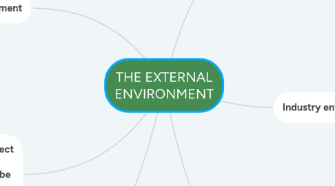 Mind Map: THE EXTERNAL ENVIRONMENT