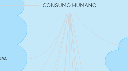 Mind Map: CONSUMO HUMANO