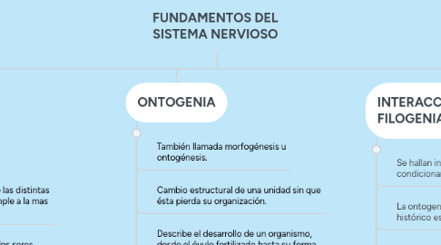 Mind Map: FUNDAMENTOS DEL SISTEMA NERVIOSO