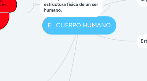 Mind Map: EL CUERPO HUMANO