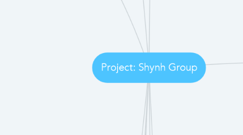 Mind Map: Project: Shynh Group