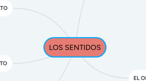 Mind Map: LOS SENTIDOS