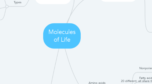 Mind Map: Molecules of Life