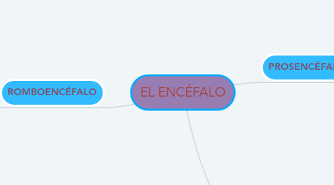 Mind Map: EL ENCÉFALO