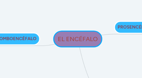 Mind Map: EL ENCÉFALO