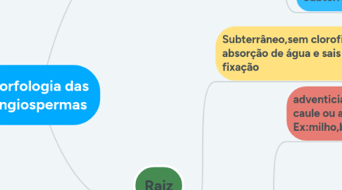 Mind Map: Morfologia das Angiospermas