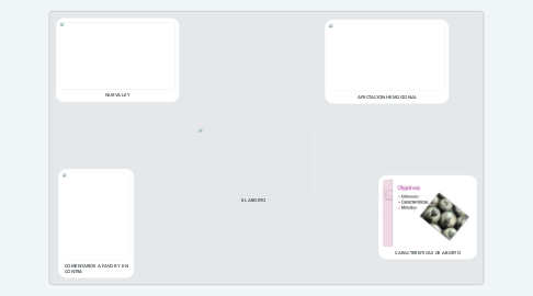 Mind Map: EL ABORTO