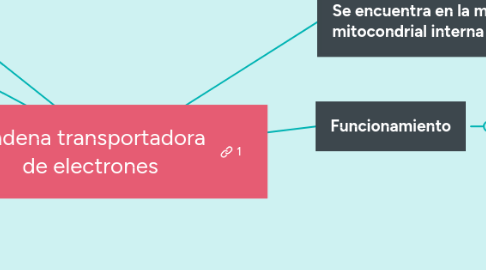 Mind Map: Cadena transportadora de electrones