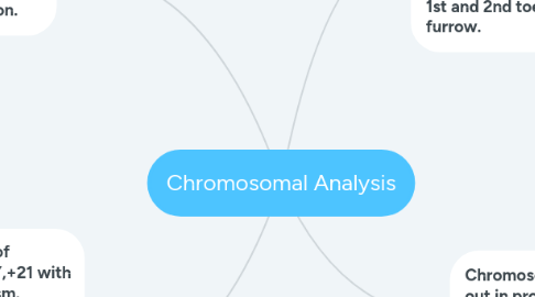 Mind Map: Chromosomal Analysis