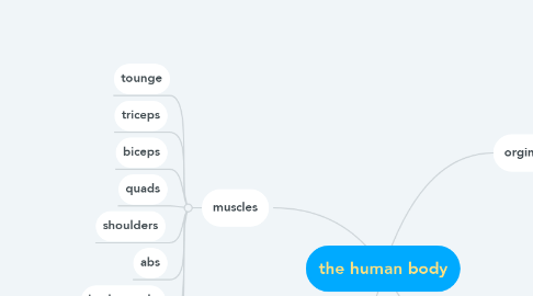 Mind Map: the human body