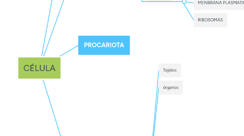 Mind Map: CÉLULA