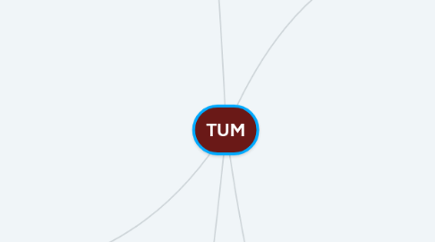 Mind Map: TUM