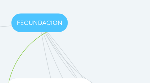 Mind Map: FECUNDACION