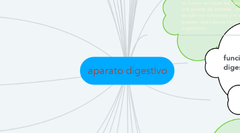 Mind Map: aparato digestivo