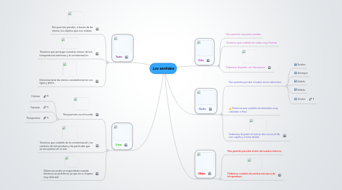 Mind Map: Los sentidos