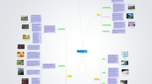 Mind Map: Physical Patterns