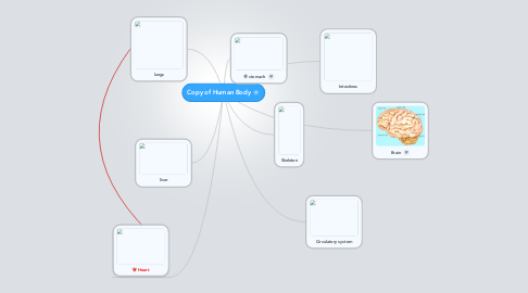 Mind Map: Copy of Human Body