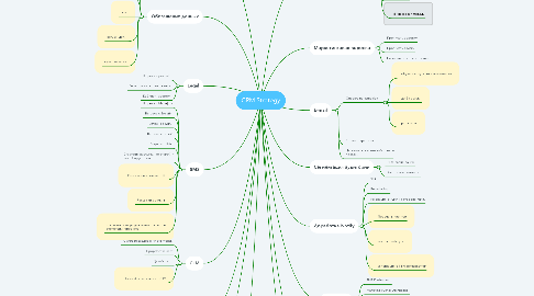 Mind Map: CRM Strategy