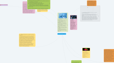 Mind Map: PSICOLOGIA COGNITIVA