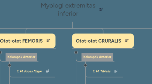 Mind Map: Myologi extremitas inferior
