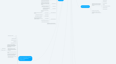 Mind Map: Instrumentos Financieros.