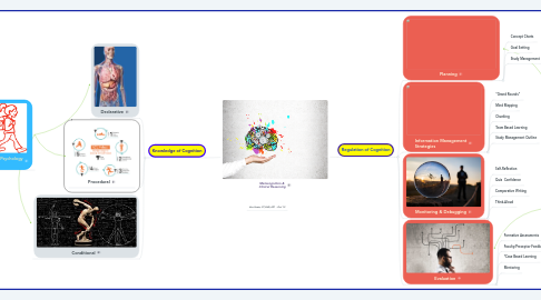 Mind Map: Metacognition & Clinical Reasoning