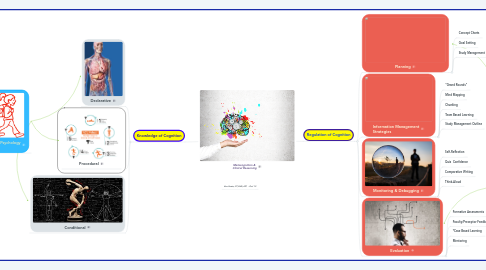 Mind Map: Metacognition &  Clinical Reasoning