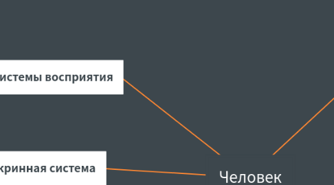 Mind Map: Человек