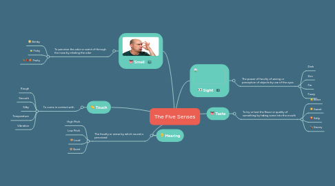 Mind Map: The Five Senses