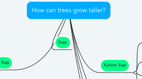 Mind Map: How can trees grow taller?