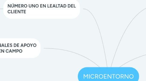 Mind Map: MICROENTORNO