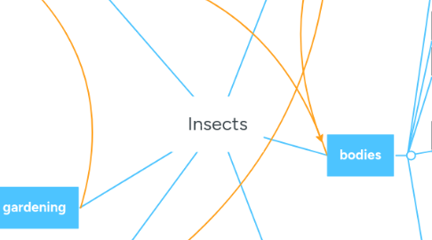 Mind Map: Insects