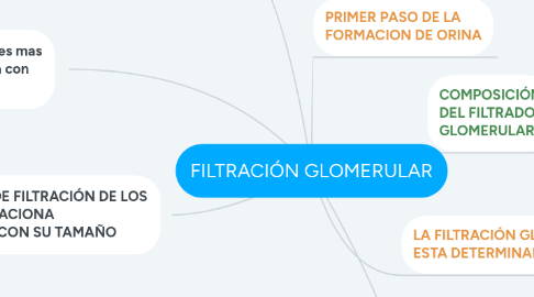 Mind Map: FILTRACIÓN GLOMERULAR