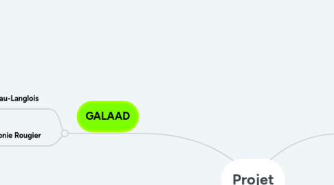 Mind Map: Projet