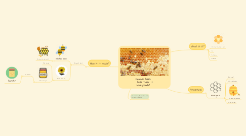Mind Map: How do bees build their honeycomb?