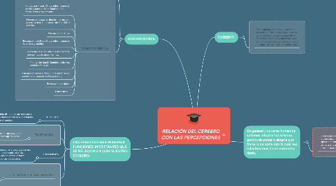 Mind Map: RELACIÓN DEL CEREBRO CON LAS PERCEPCIONES